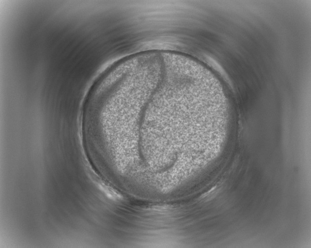 X0000068281035200605121907