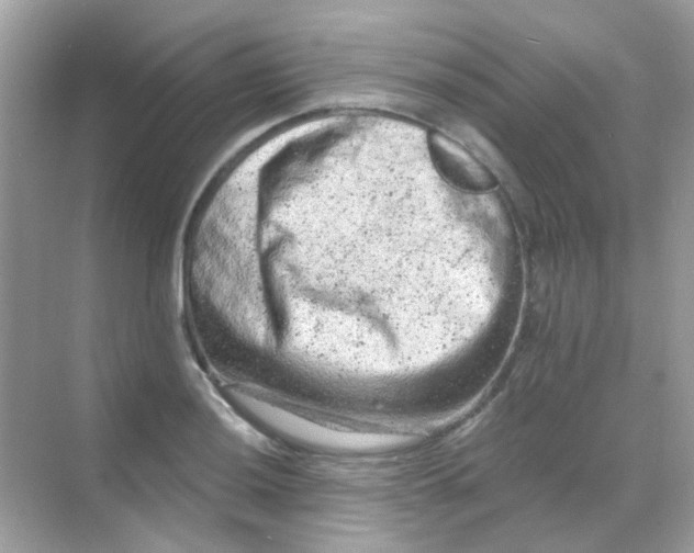 X0000068281036200605121907