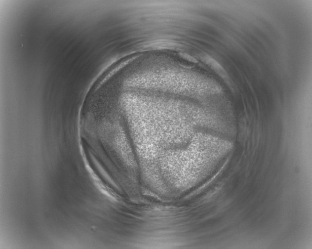 X0000068281039200605121907