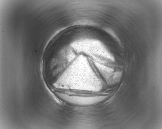 X0000068281040200605121907