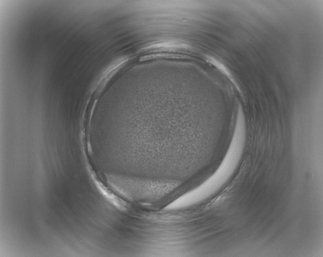 X0000068281042200605121907