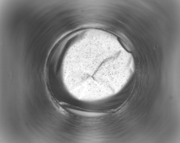 X0000068281044200605121907