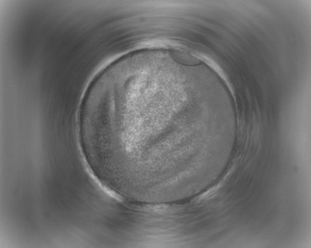 X0000068281045200605121907