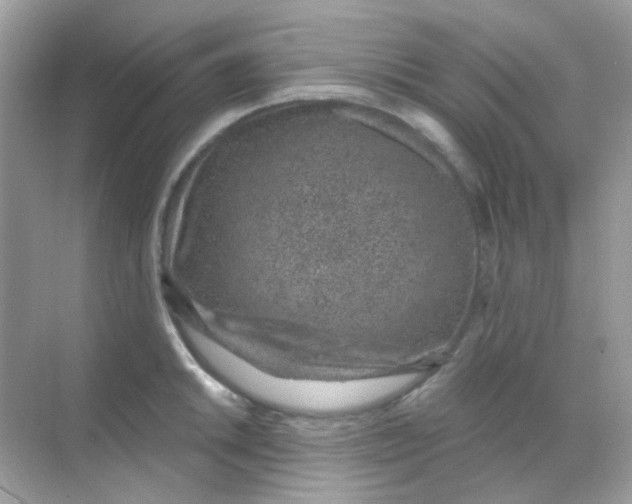 X0000068281046200605121907