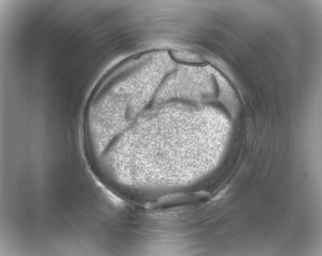 X0000068281048200605121907