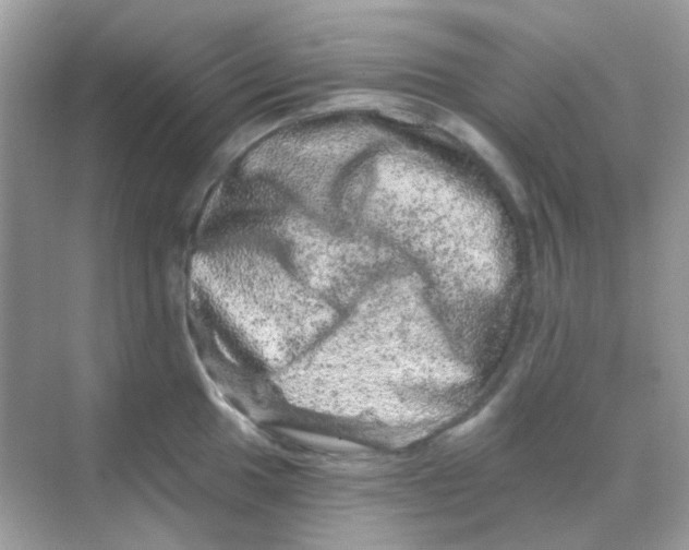 X0000068281049200605121907