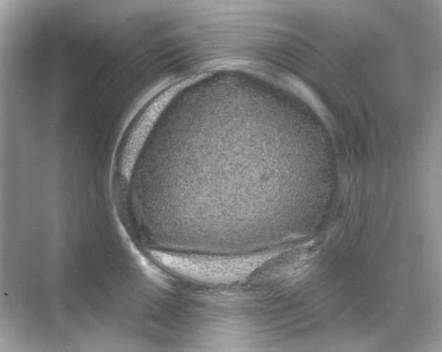 X0000068281050200605121907