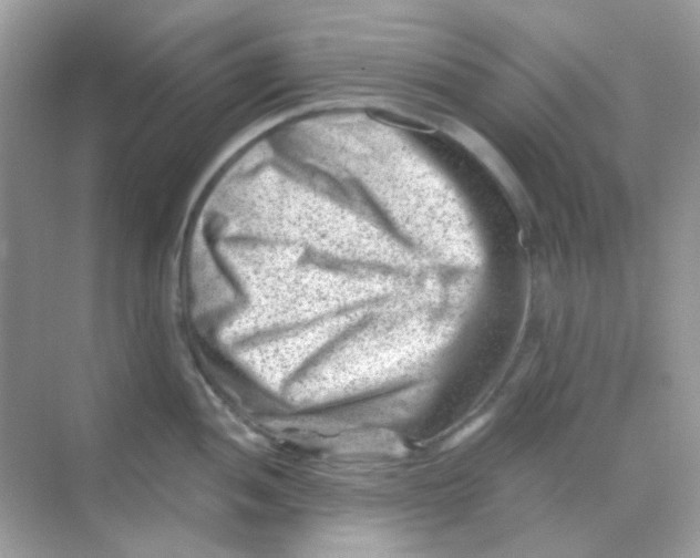 X0000068281052200605121907