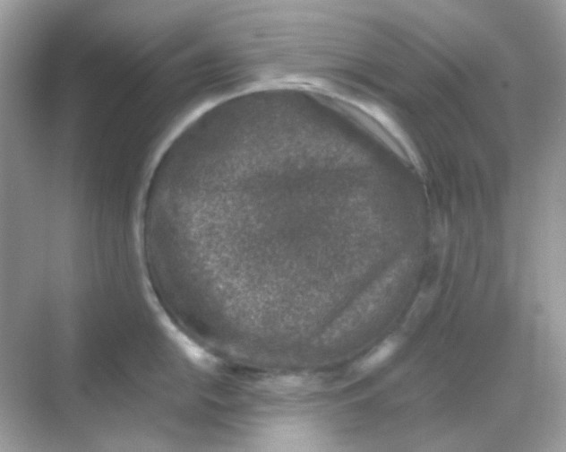 X0000068281054200605121907