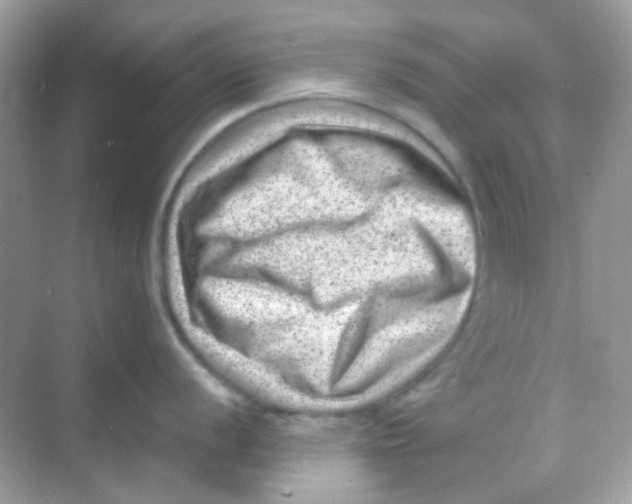 X0000068281056200605121907