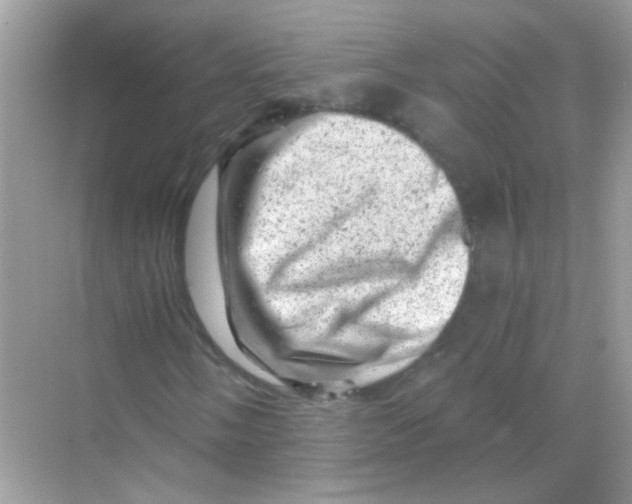 X0000068281058200605121906