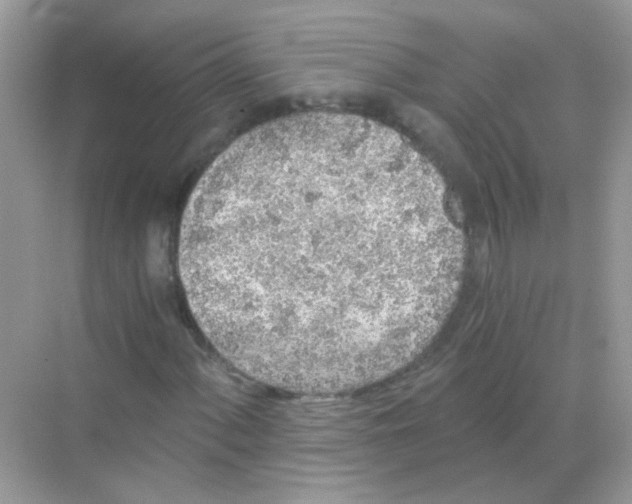 X0000068281060200605121906