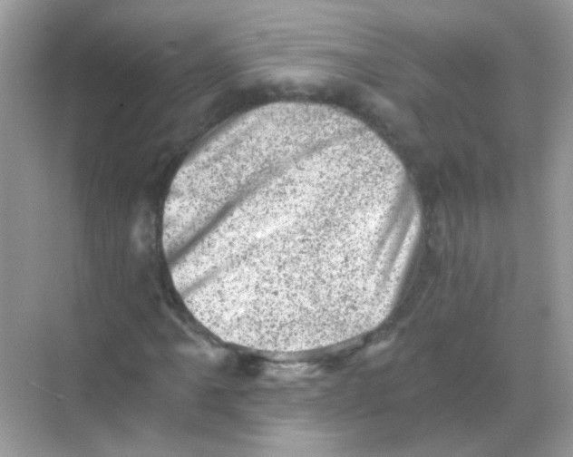 X0000068281061200605121906