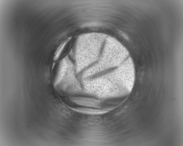 X0000068281062200605121906