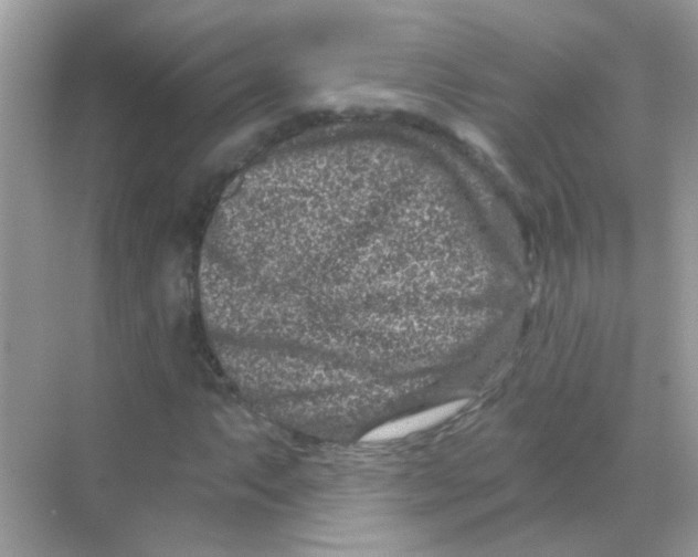 X0000068281063200605121906