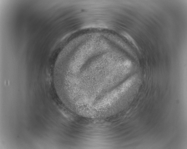 X0000068281064200605121906