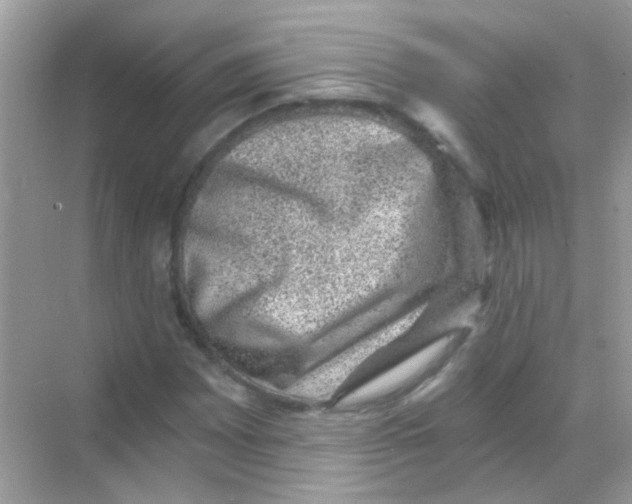 X0000068281065200605121906