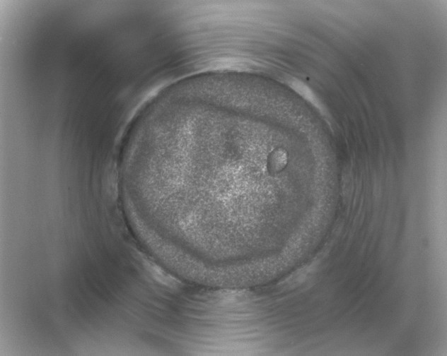 X0000068281067200605121906