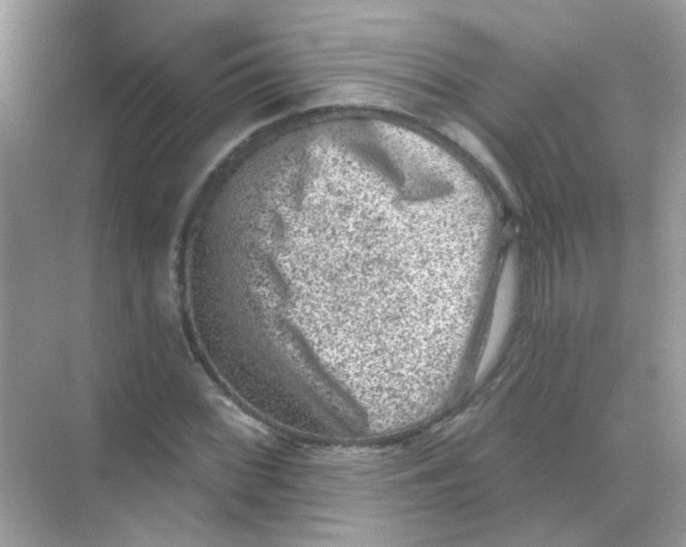 X0000068281068200605121906