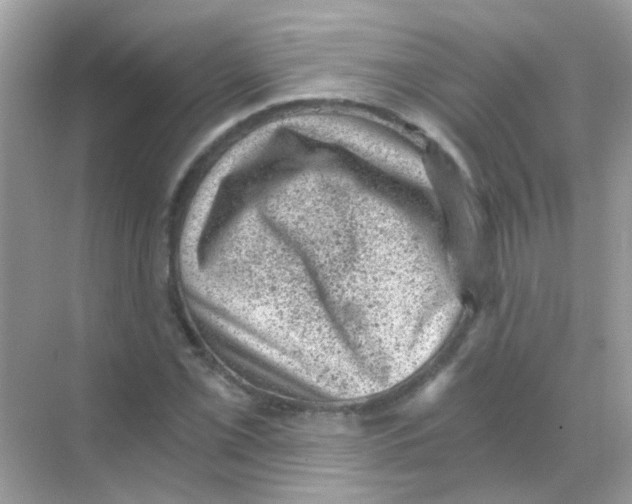 X0000068281069200605121906