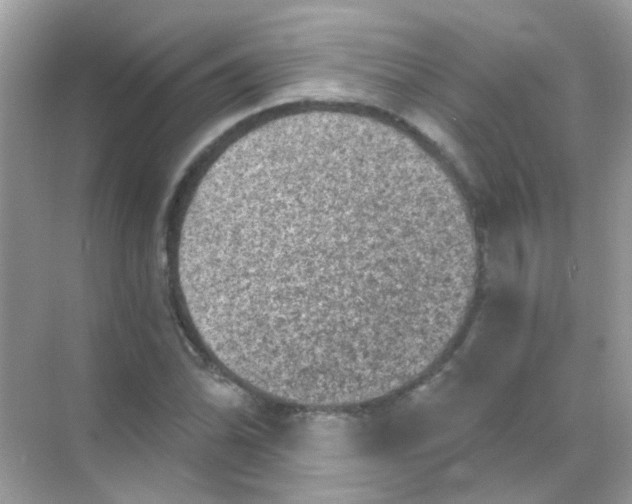 X0000068281070200605121906