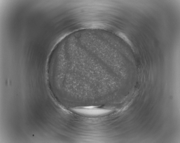 X0000068281071200605121906