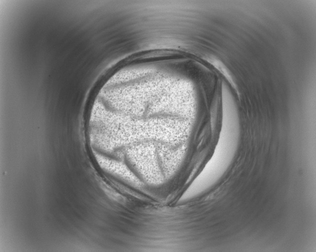 X0000068281072200605121906