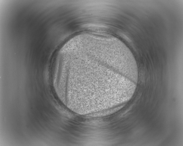 X0000068281074200605121906