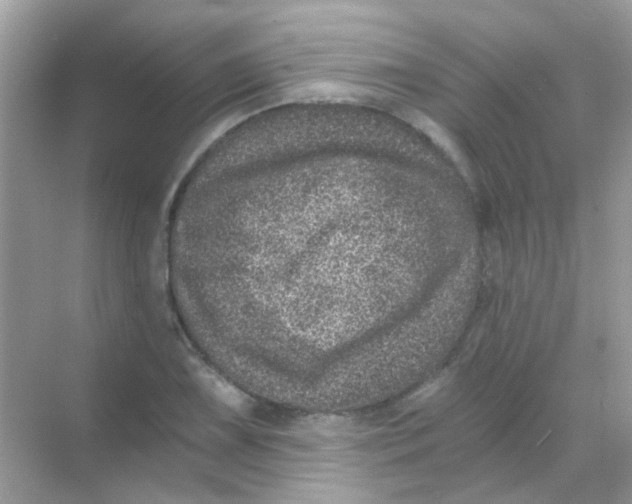 X0000068281075200605121906