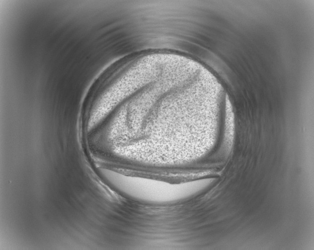 X0000068281076200605121906