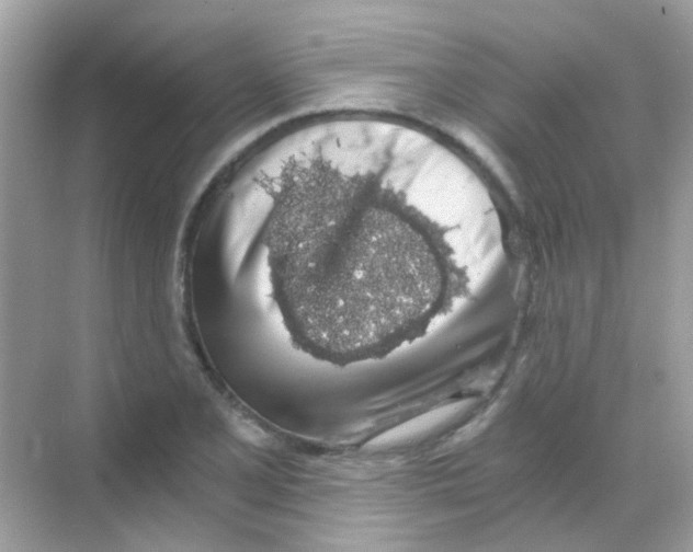 X0000068281077200605121906