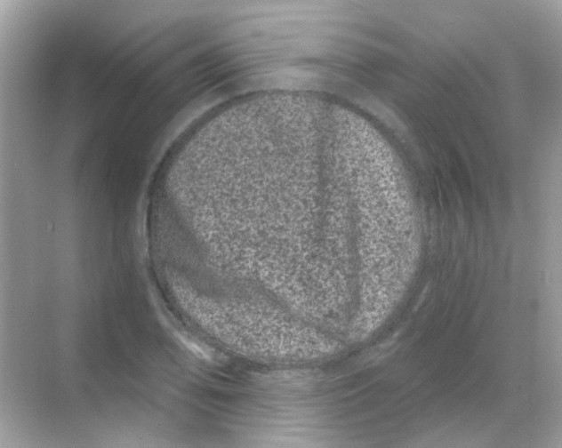 X0000068281078200605121906