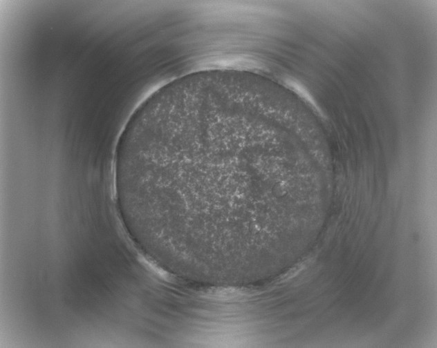 X0000068281079200605121906