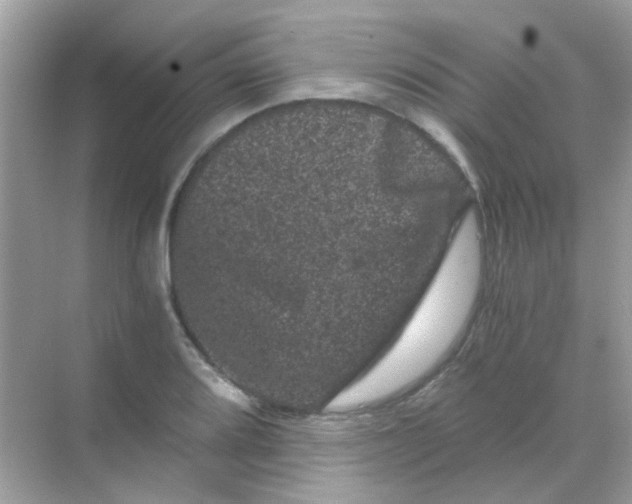 X0000068281080200605121906