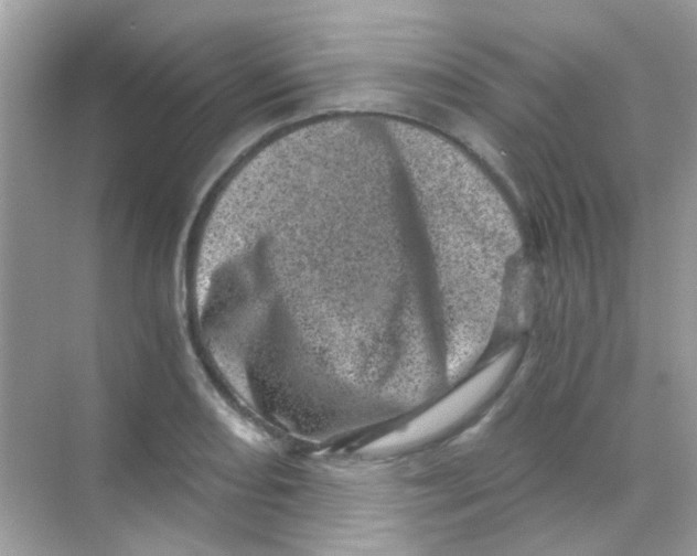 X0000068281082200605121906