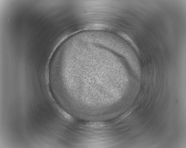 X0000068281083200605121906