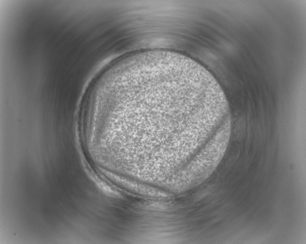 X0000068281086200605121906