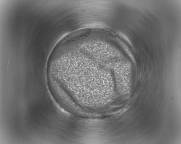 X0000068281087200605121906