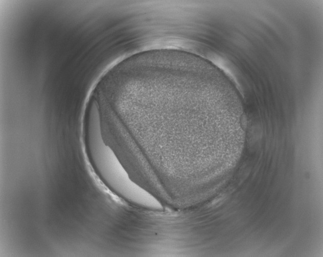 X0000068281088200605121906