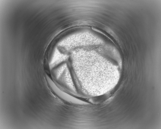 X0000068281089200605121906