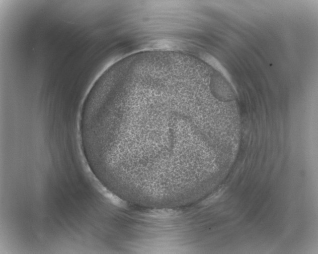 X0000068281091200605121906