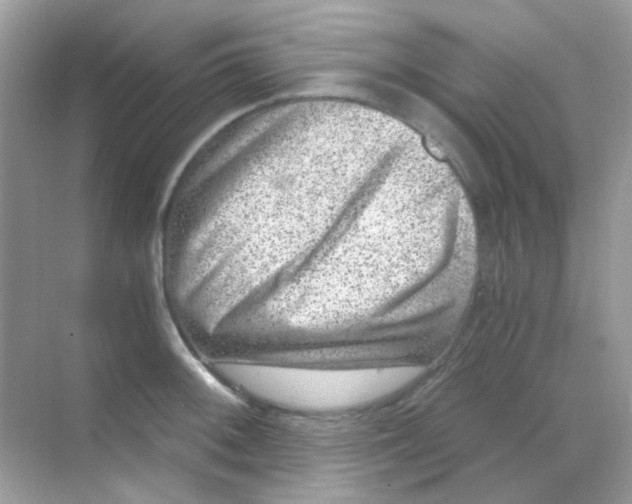 X0000068281092200605121905