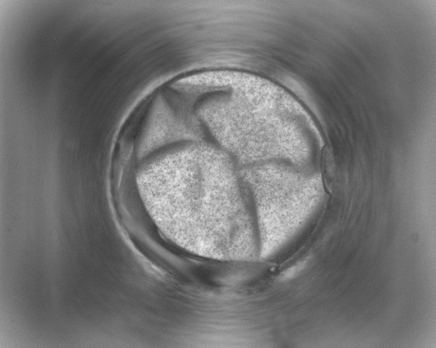 X0000068281093200605121905