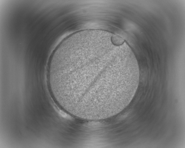 X0000068281094200605121905