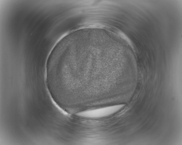 X0000068281095200605121905