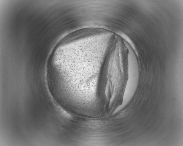 X0000068281096200605121905