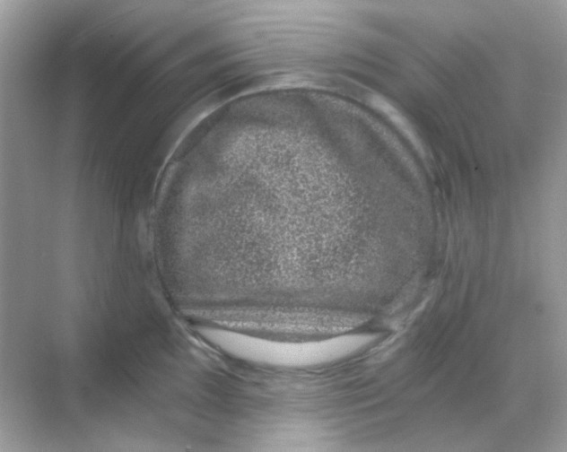 X0000068281097200605121905