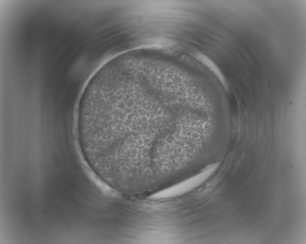 X0000068281099200605121905