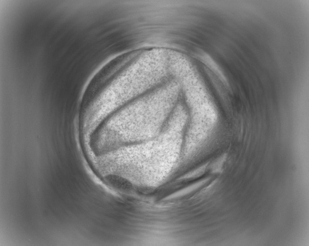 X0000068281100200605121905