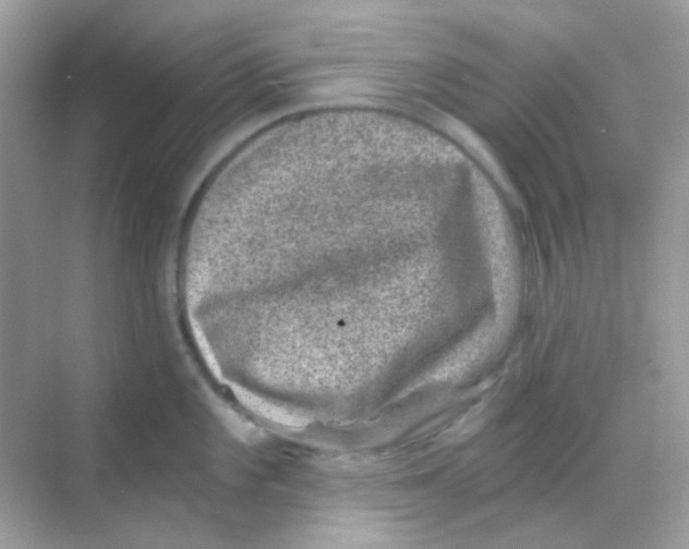 X0000068281101200605121905